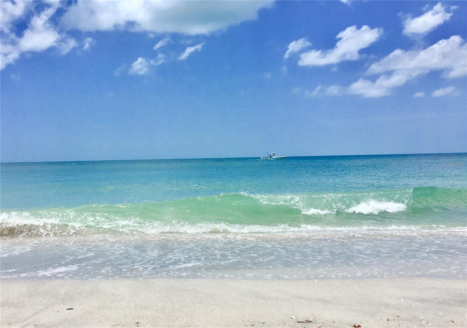 Photo #35