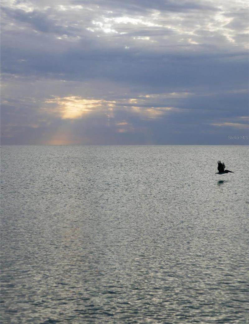 Photo #28