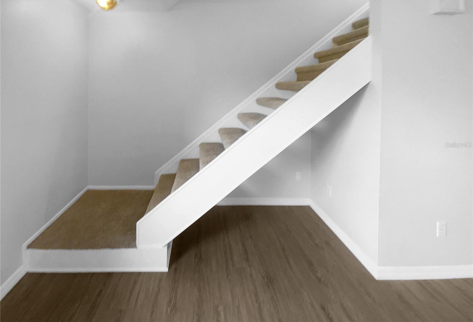 Photo #13