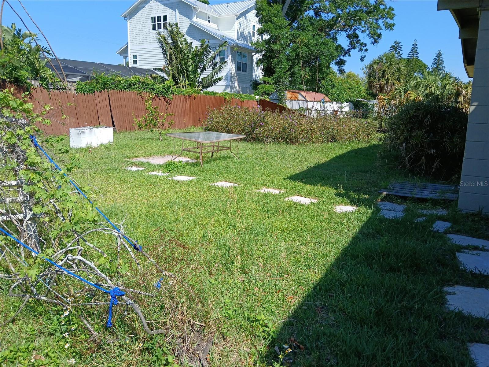 Photo #13
