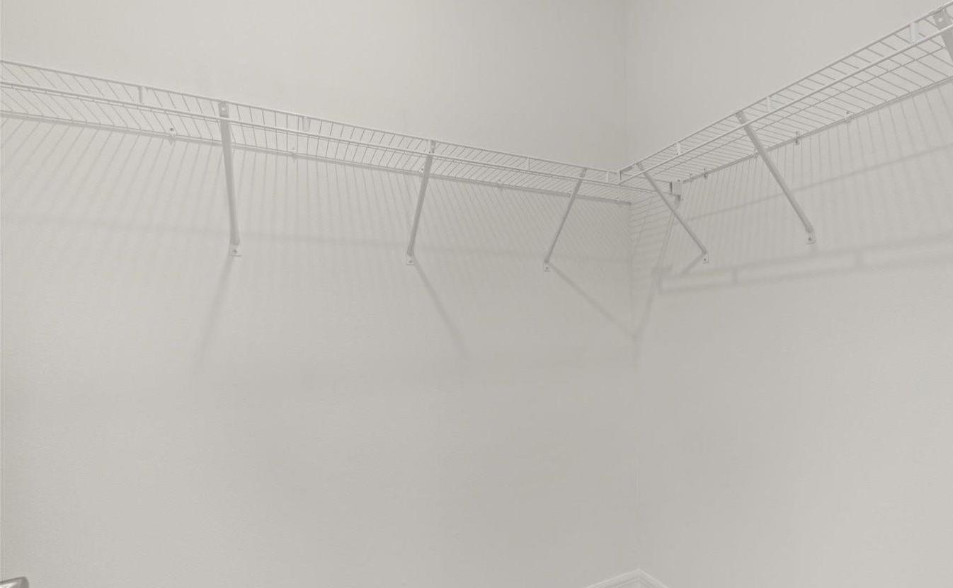 Photo #15