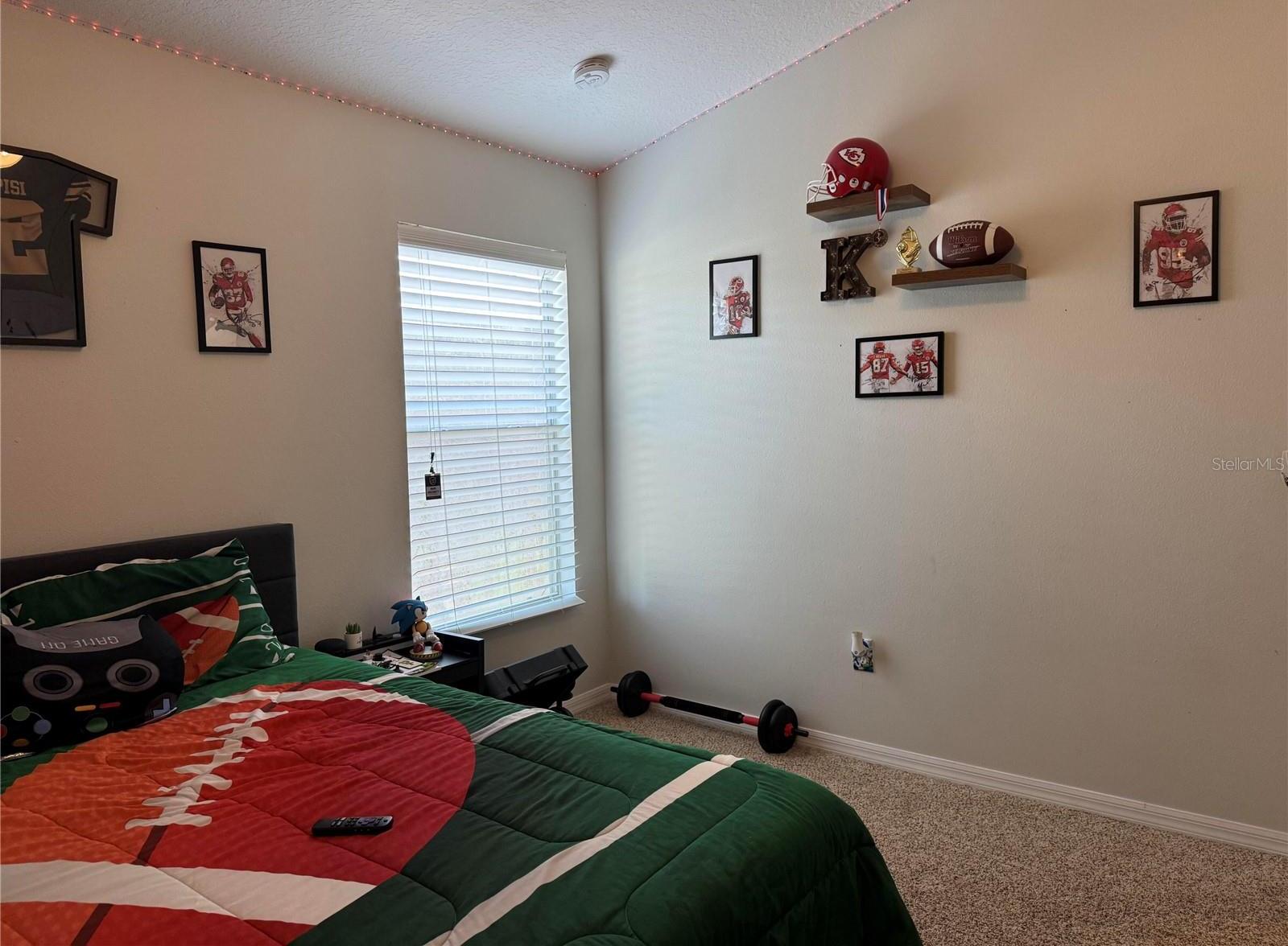 Photo #17