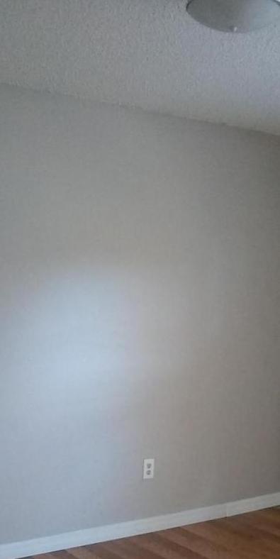Photo #31