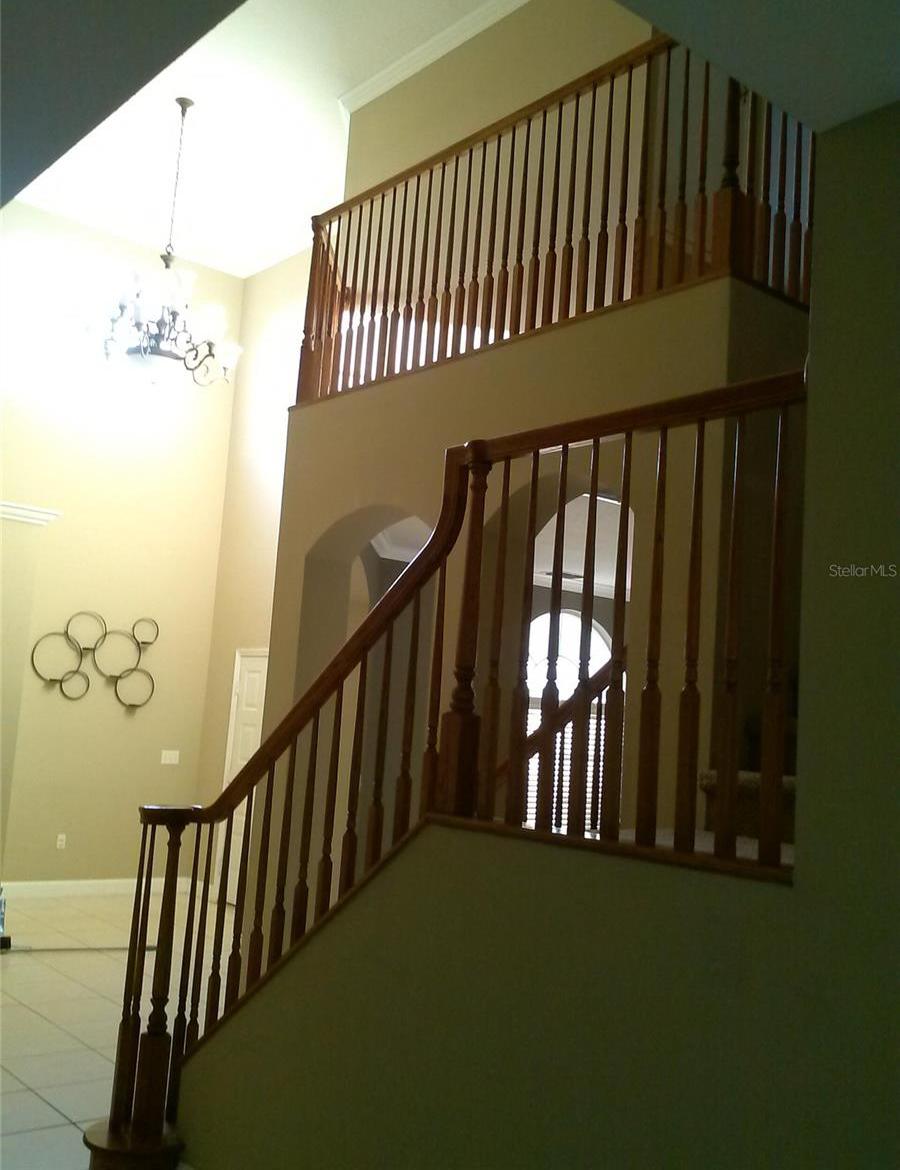Photo #17