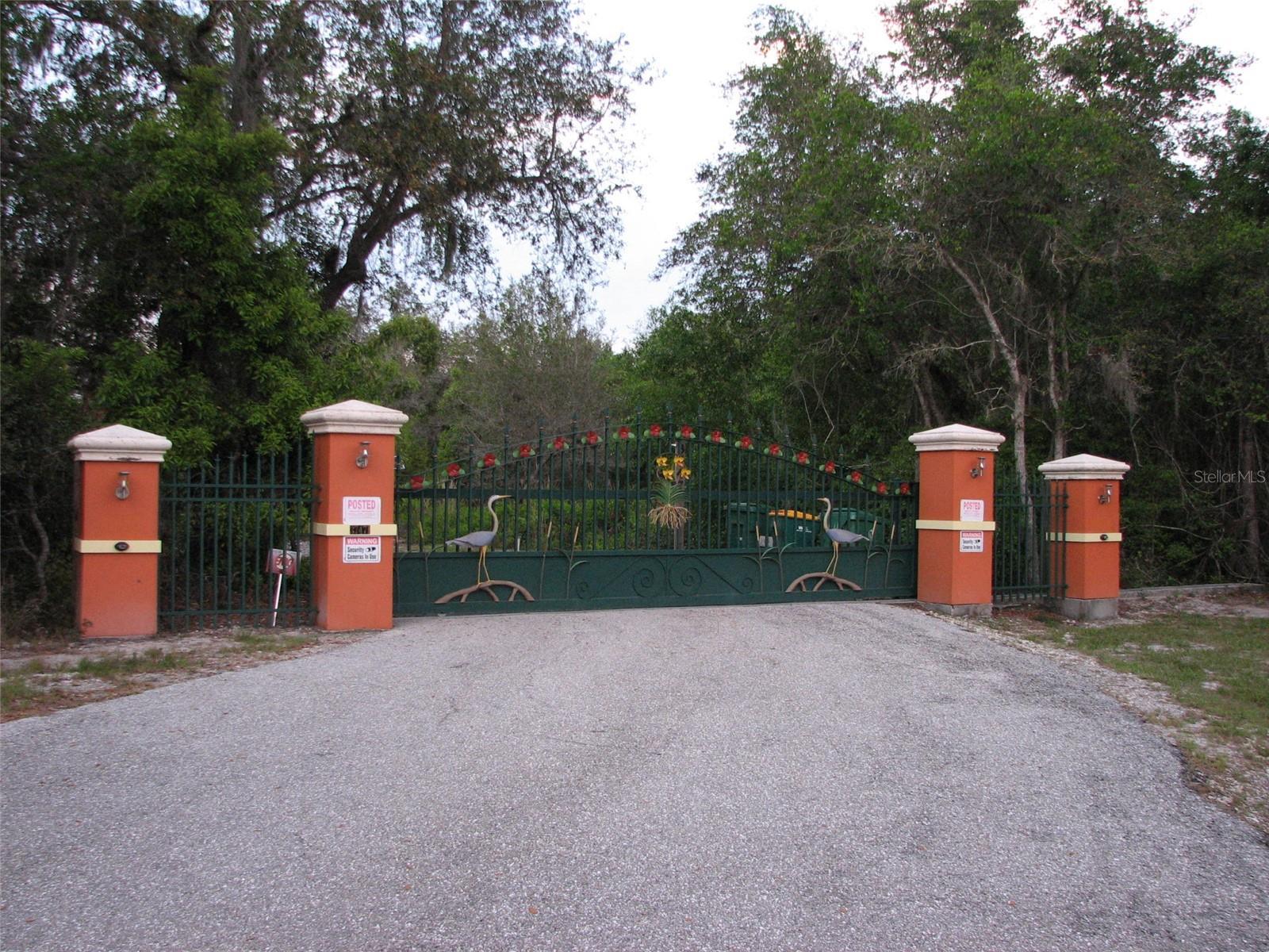 Photo #41