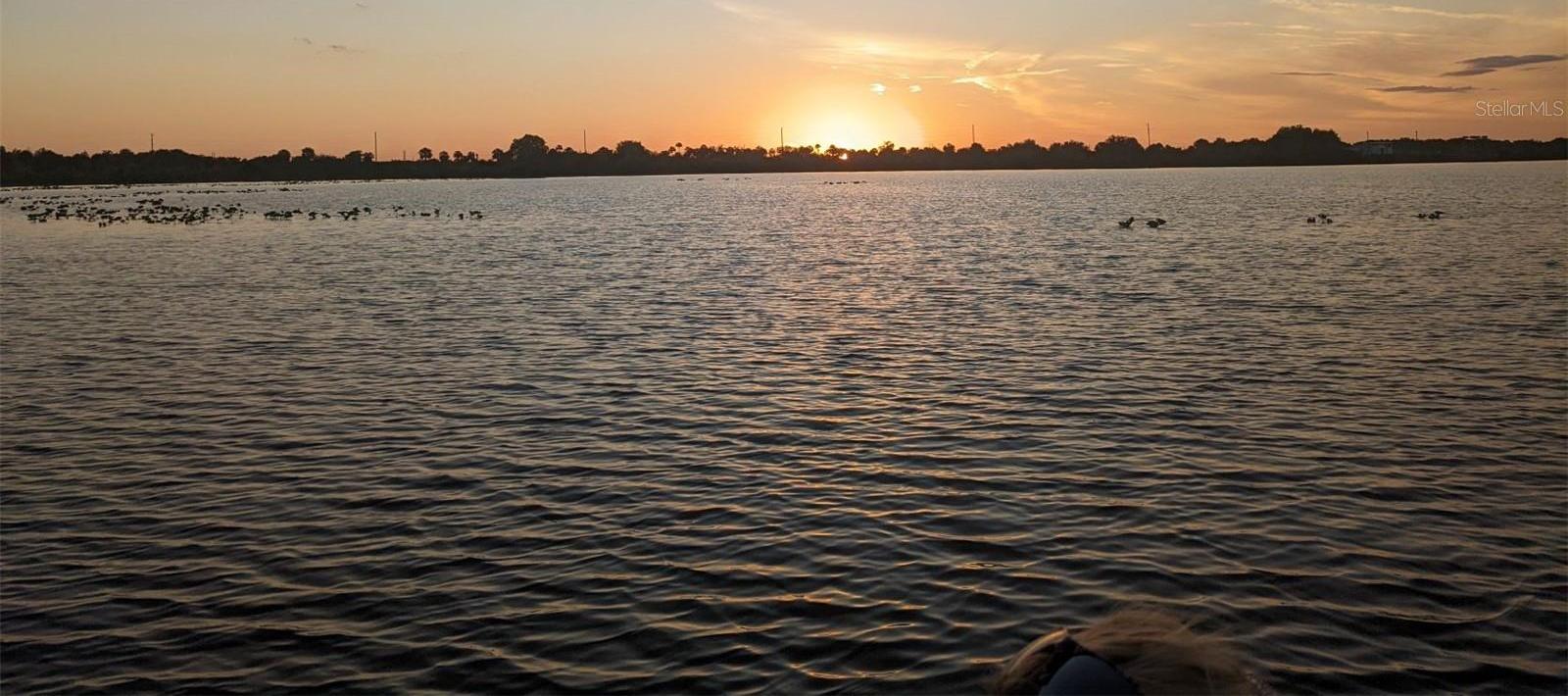 Photo #46