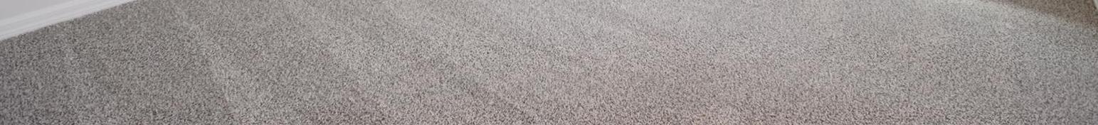 Photo #31