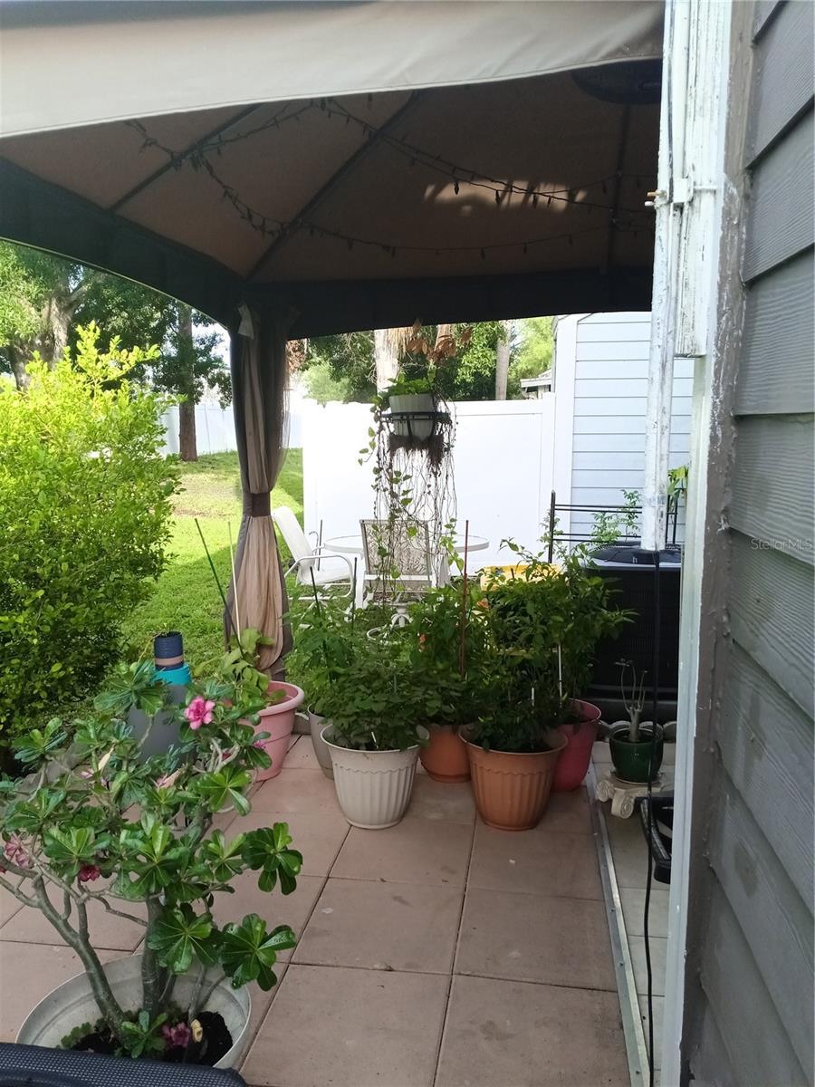 Photo #19