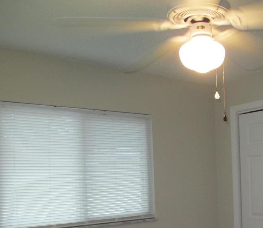 Photo #22