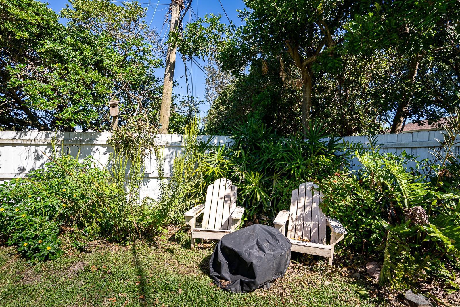 Photo #37