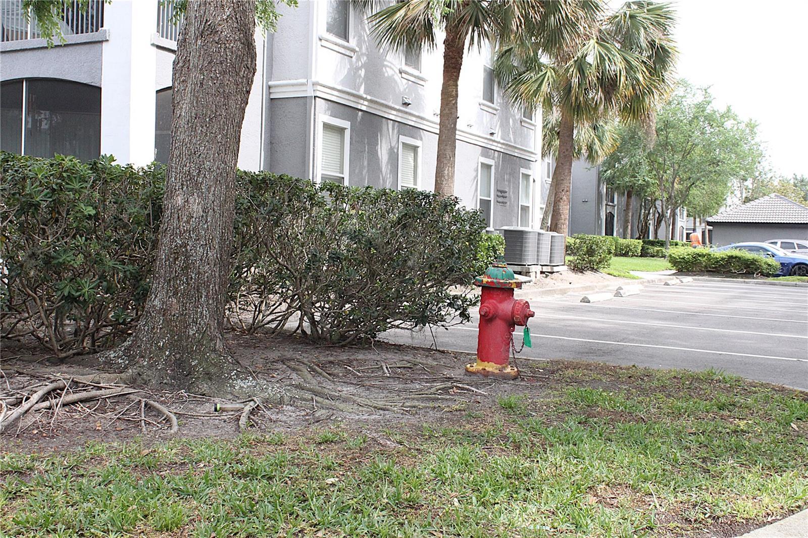 Photo #38