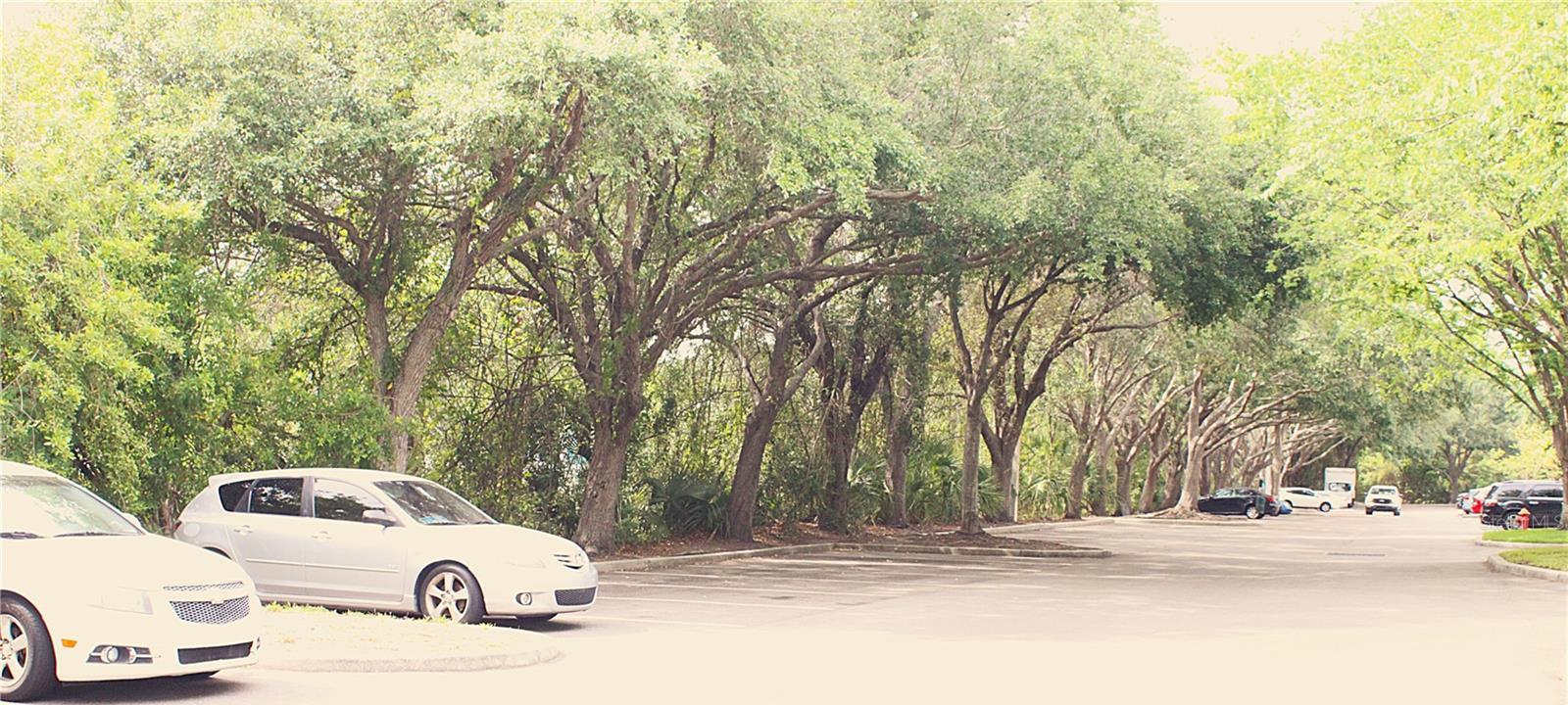 Photo #39