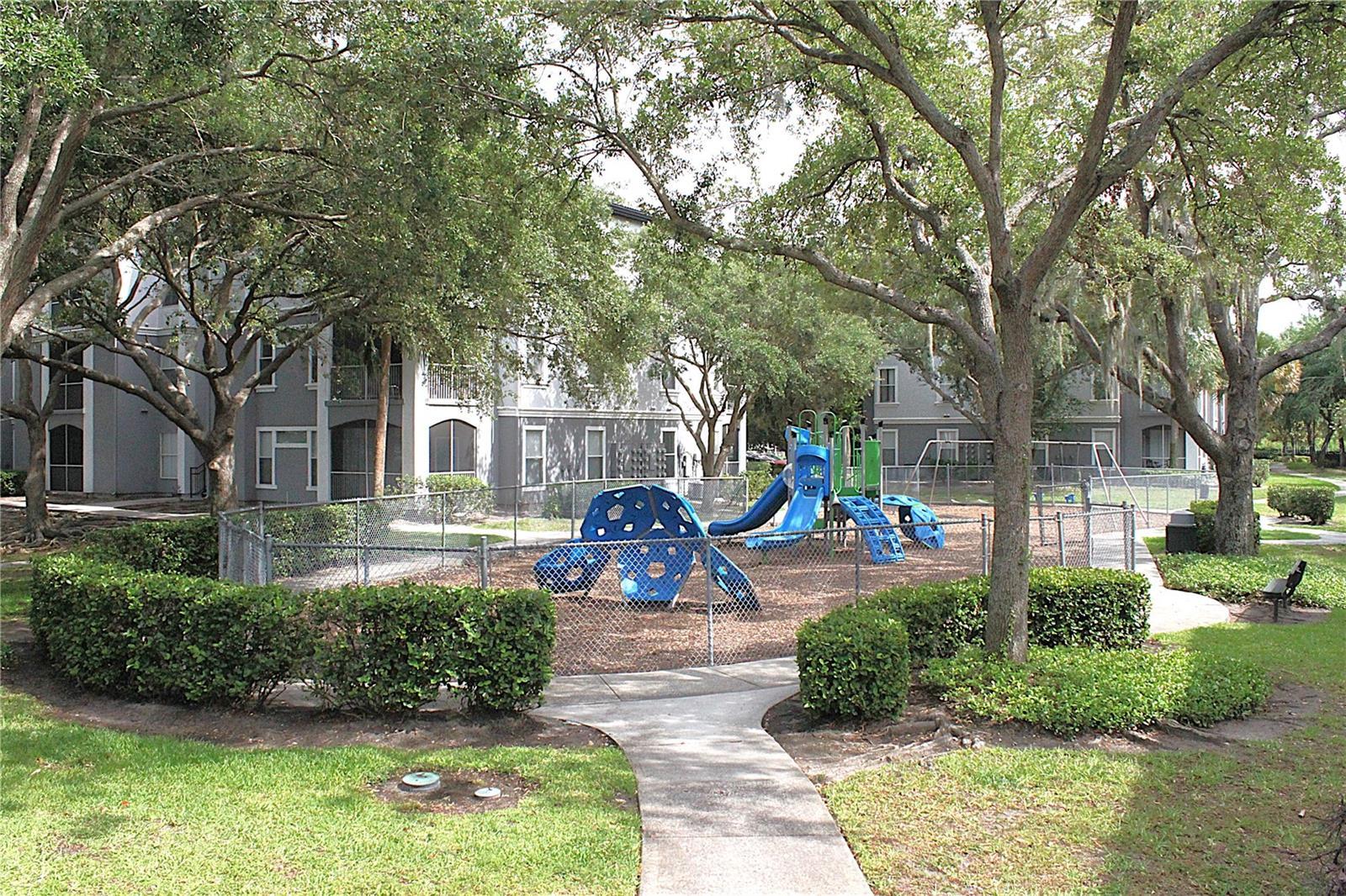 Photo #35