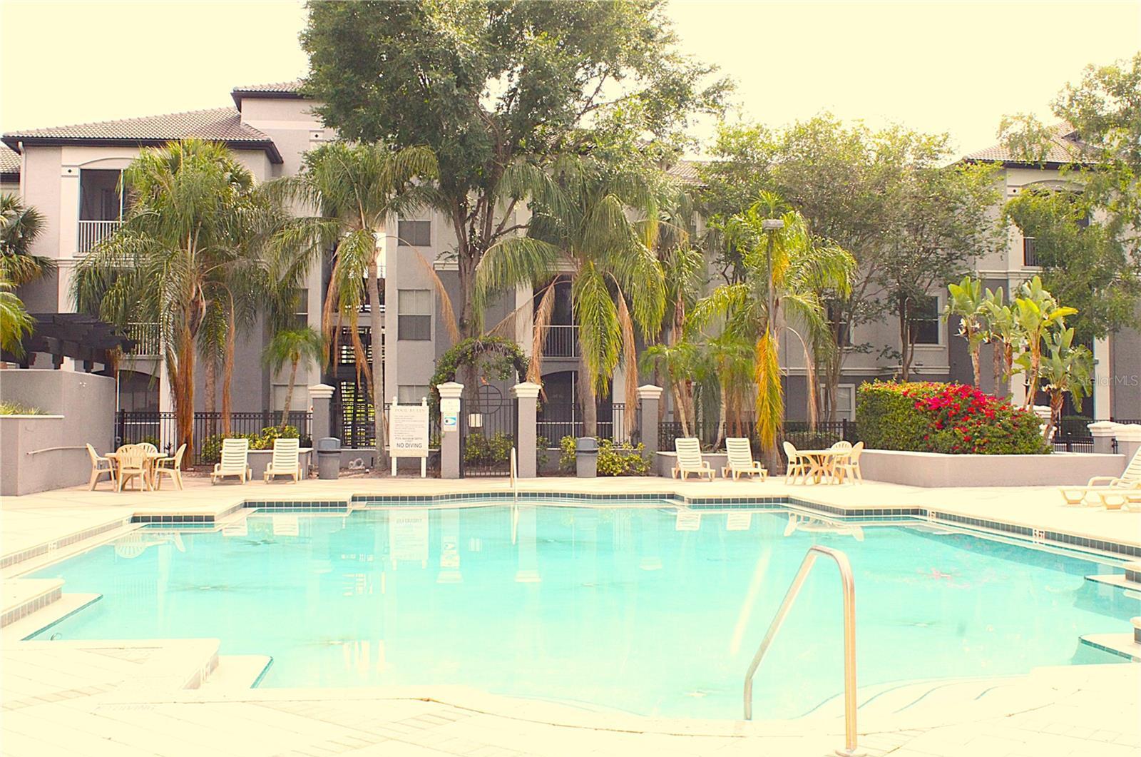 Photo #51