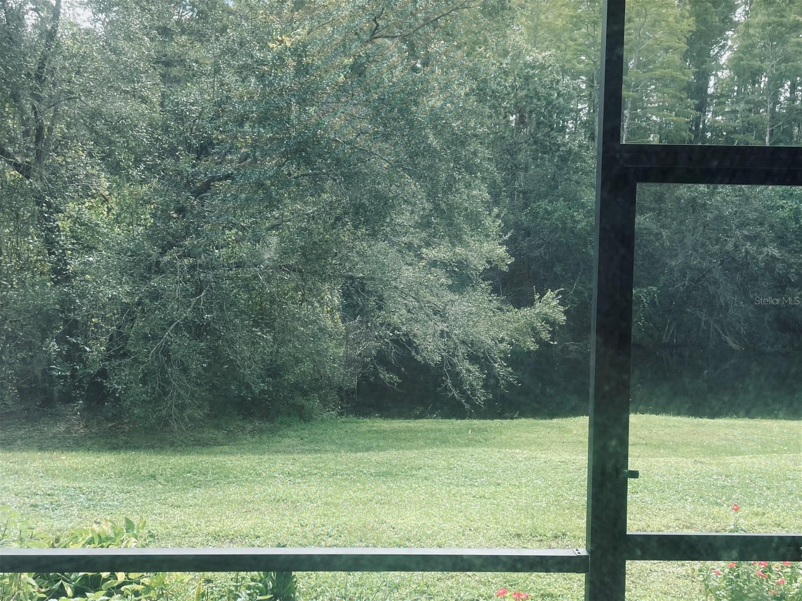 Photo #30