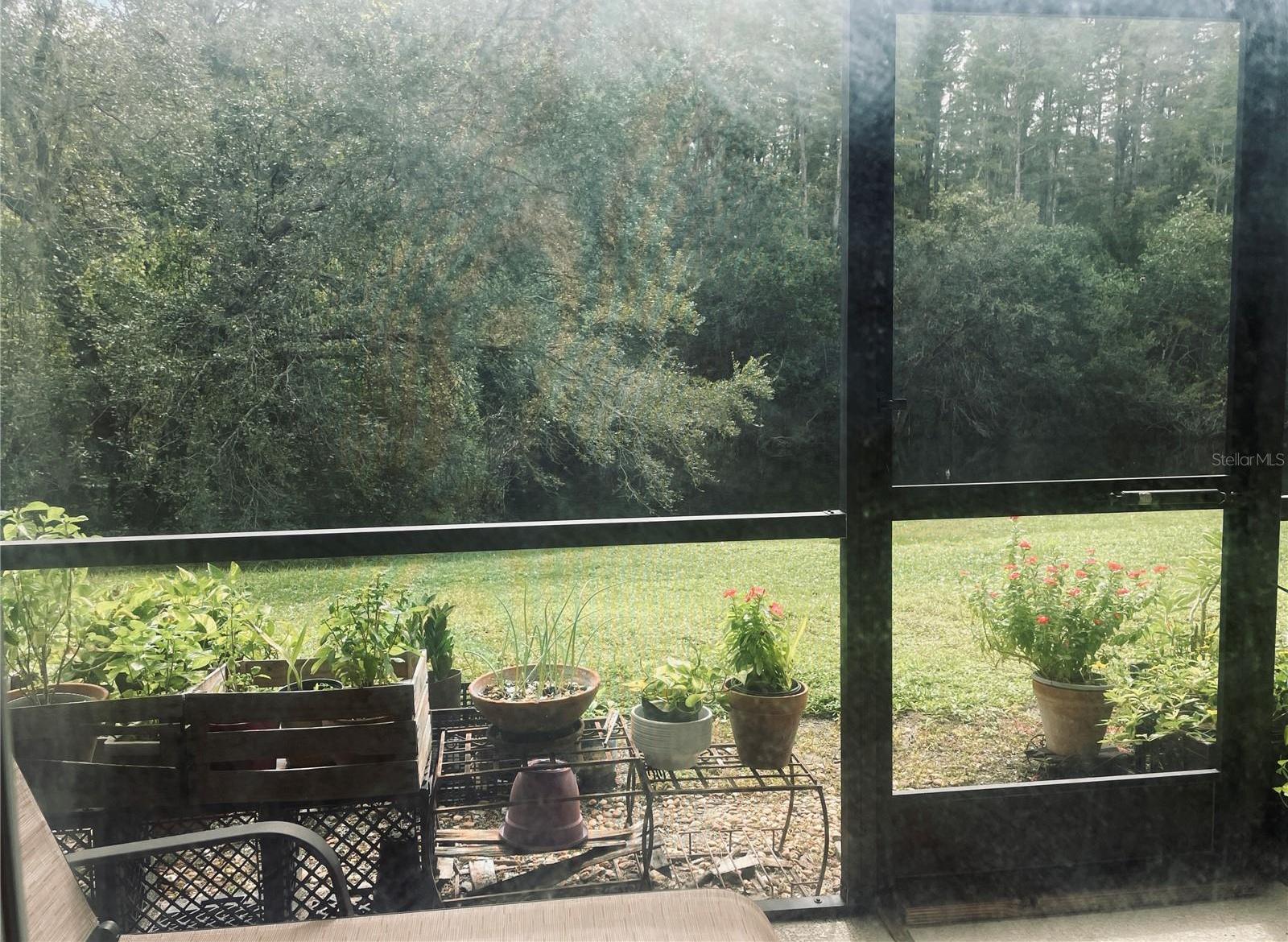 Photo #29