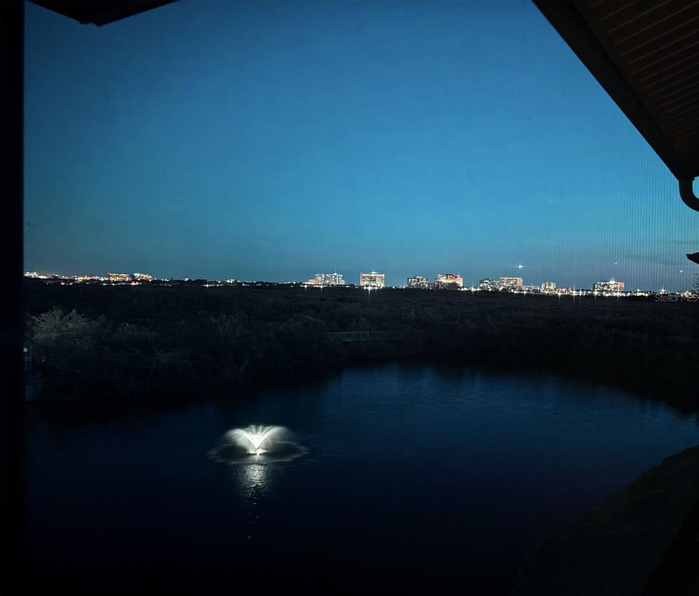 Photo #10