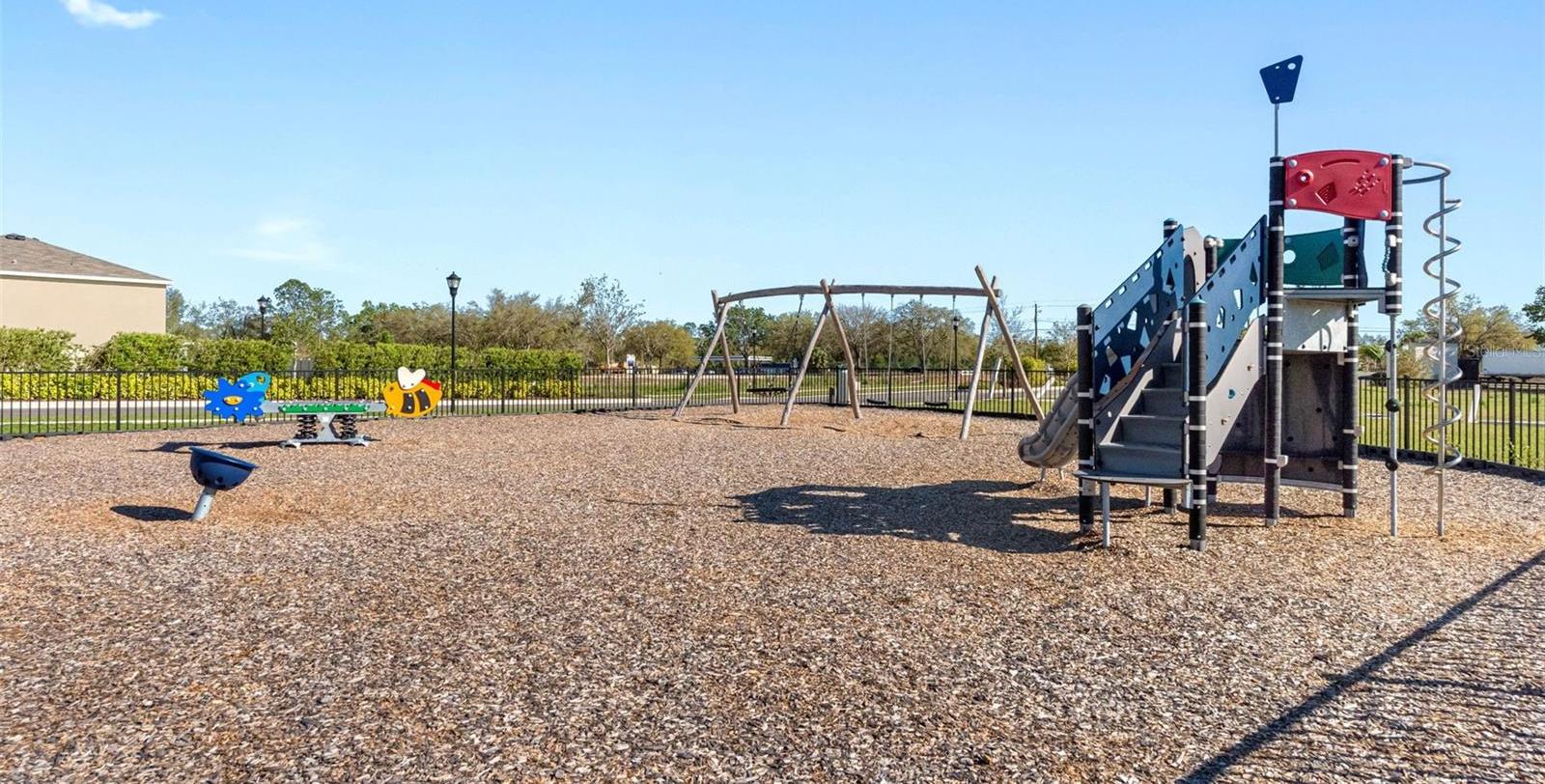 Photo #37