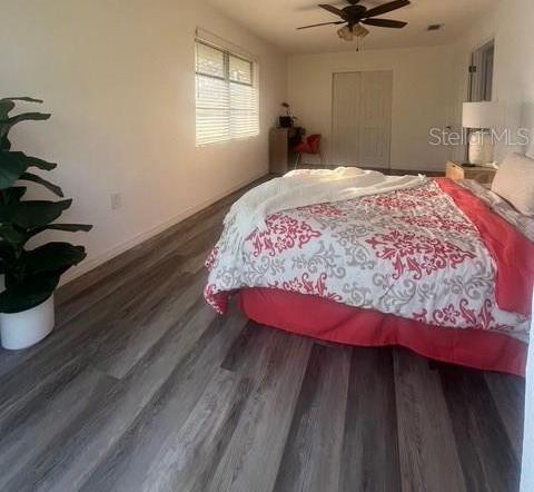 Photo #34
