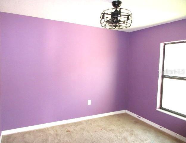 Photo #6
