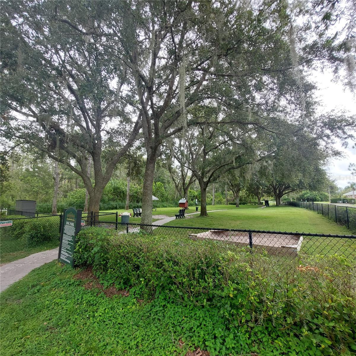 Photo #45