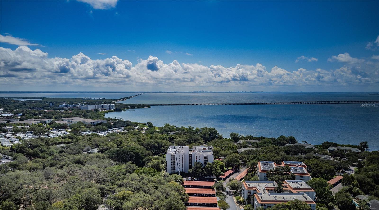 Photo one of 2623 Seville Blvd # 102 Clearwater FL 33764 | MLS T3495957
