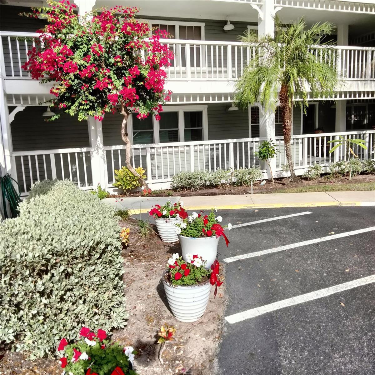 Photo one of 2533 Dolly Bay Dr # 202 Palm Harbor FL 34684 | MLS T3504094