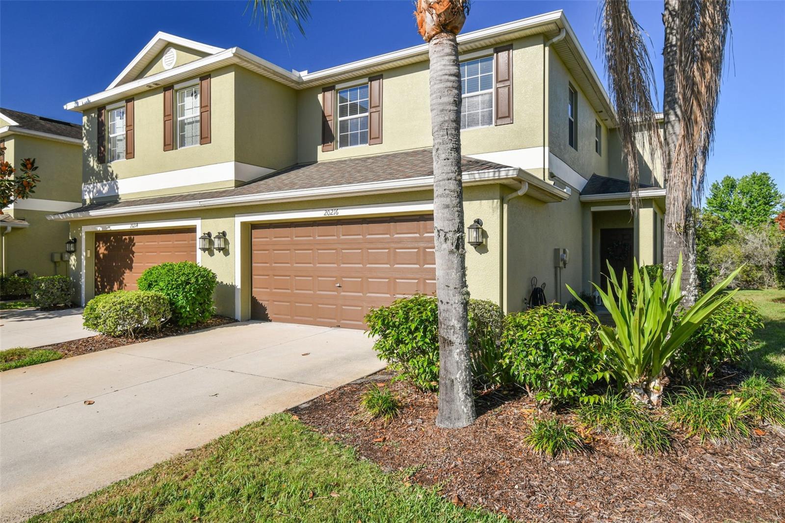 Photo one of 20216 Water Hickory Pl Tampa FL 33647 | MLS T3513753