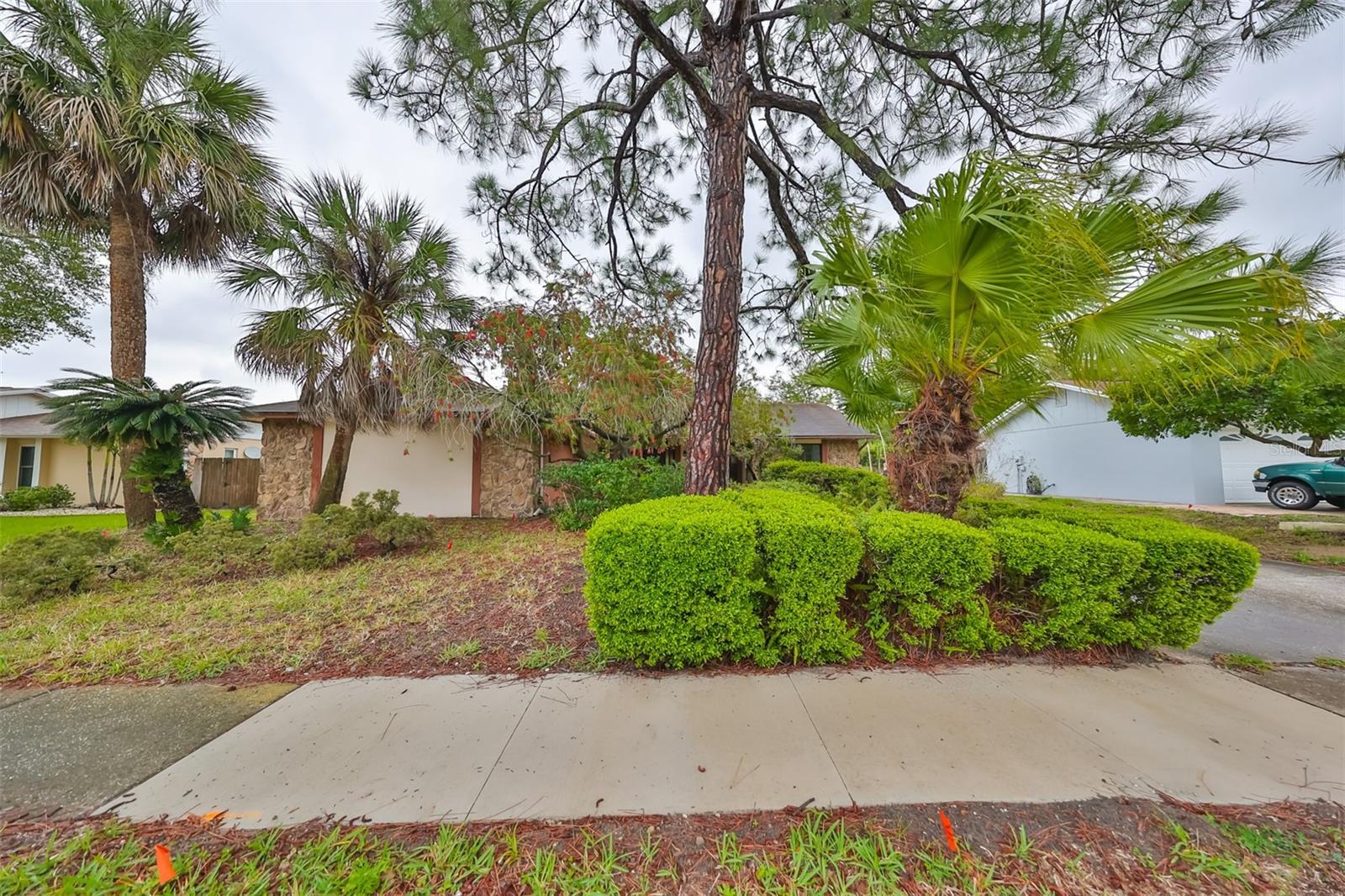 Photo one of 835 Rustic Oaks Dr Palm Harbor FL 34684 | MLS T3515156