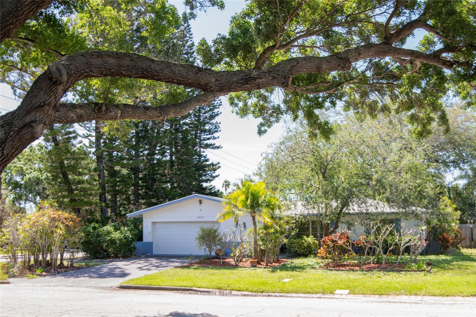 Photo one of 4391 14Th Ne Way St Petersburg FL 33703 | MLS T3517929