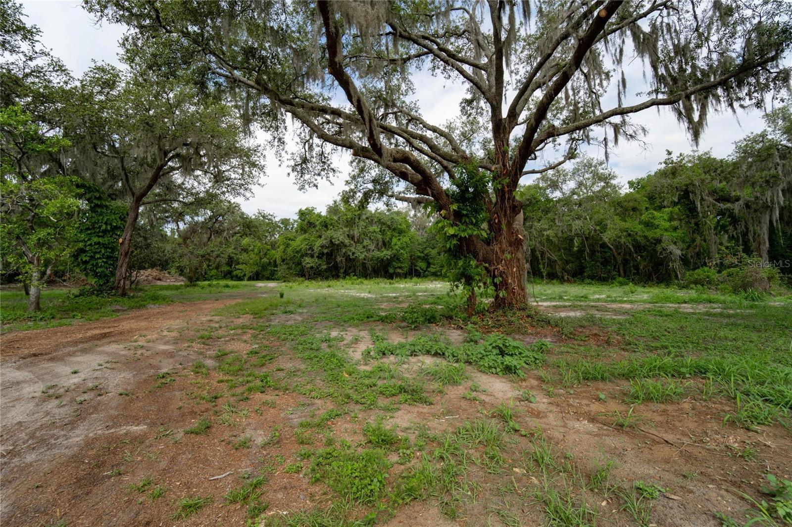 Photo #31