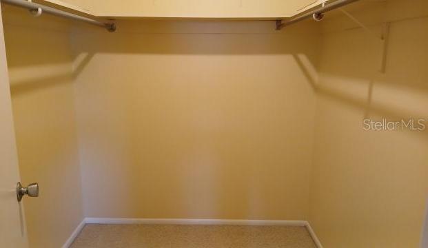 Photo #11
