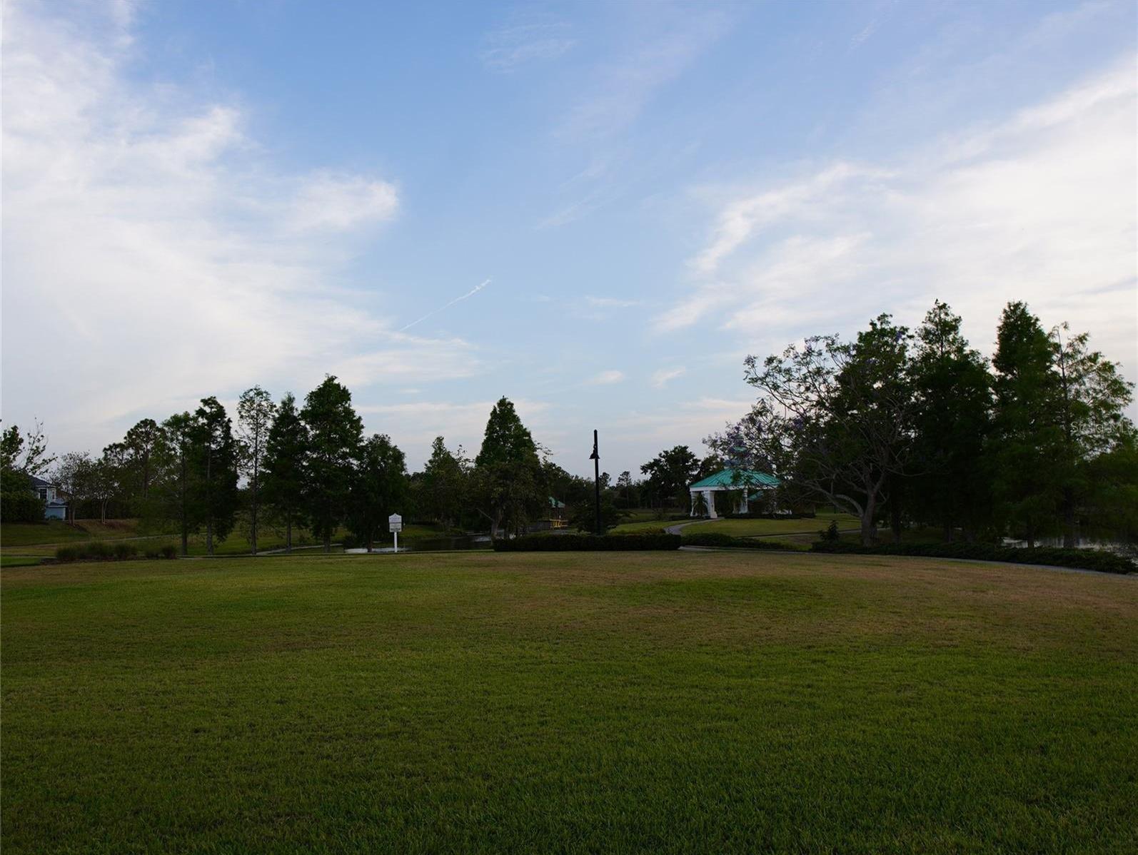 Photo #76