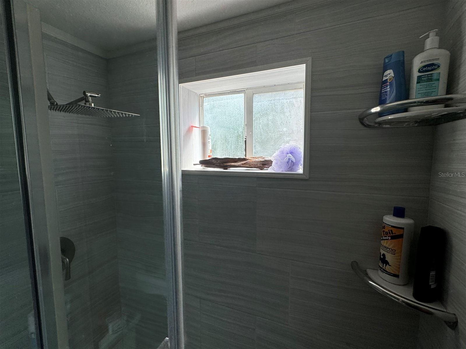 Photo #15