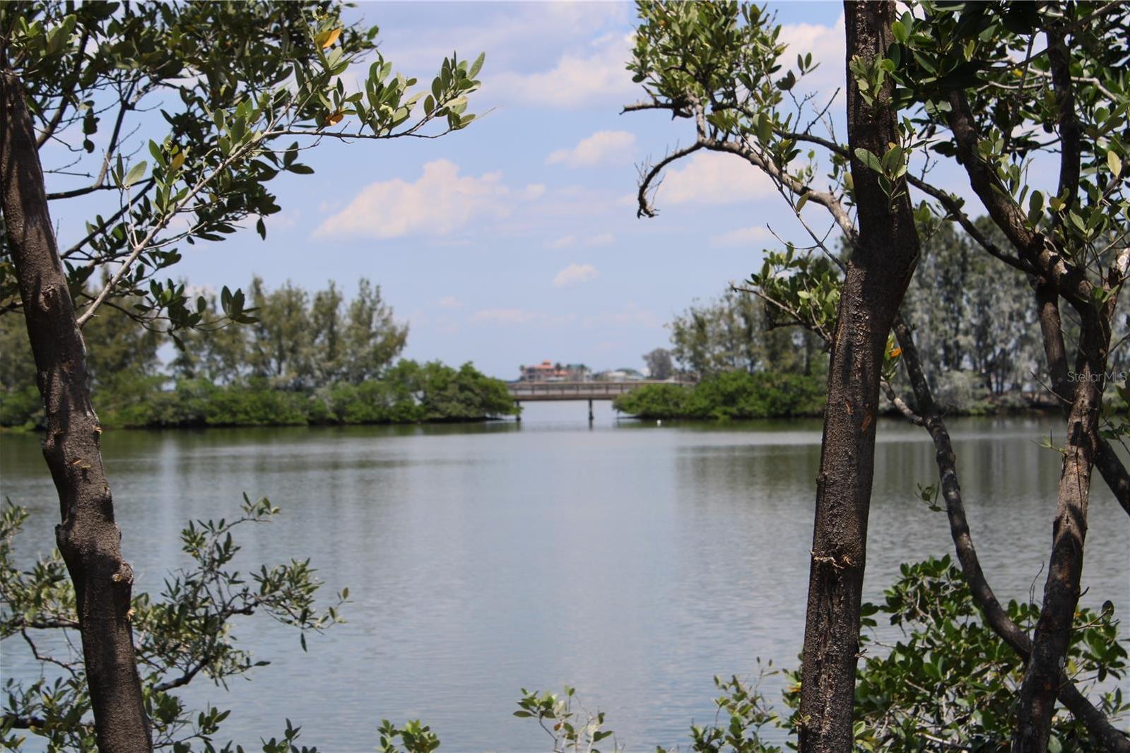 Photo #30