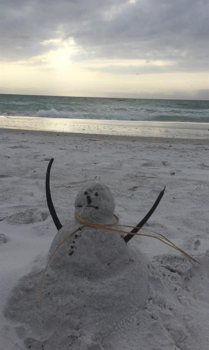 Photo #41