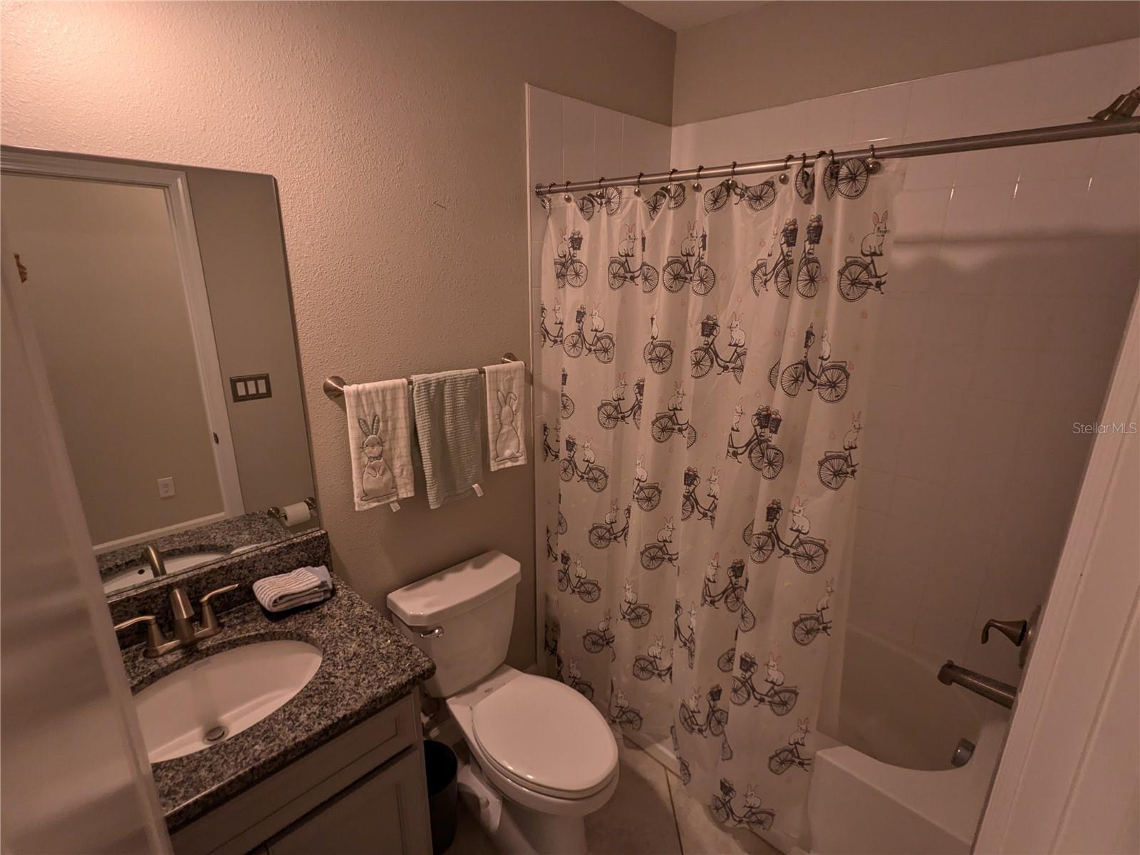 Photo #8