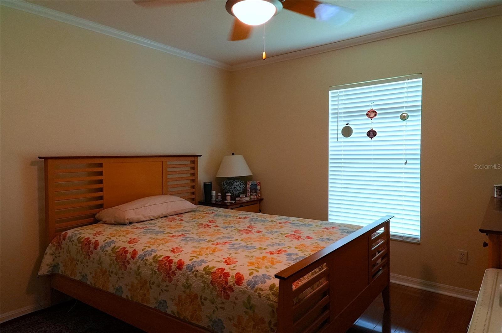 Photo #38