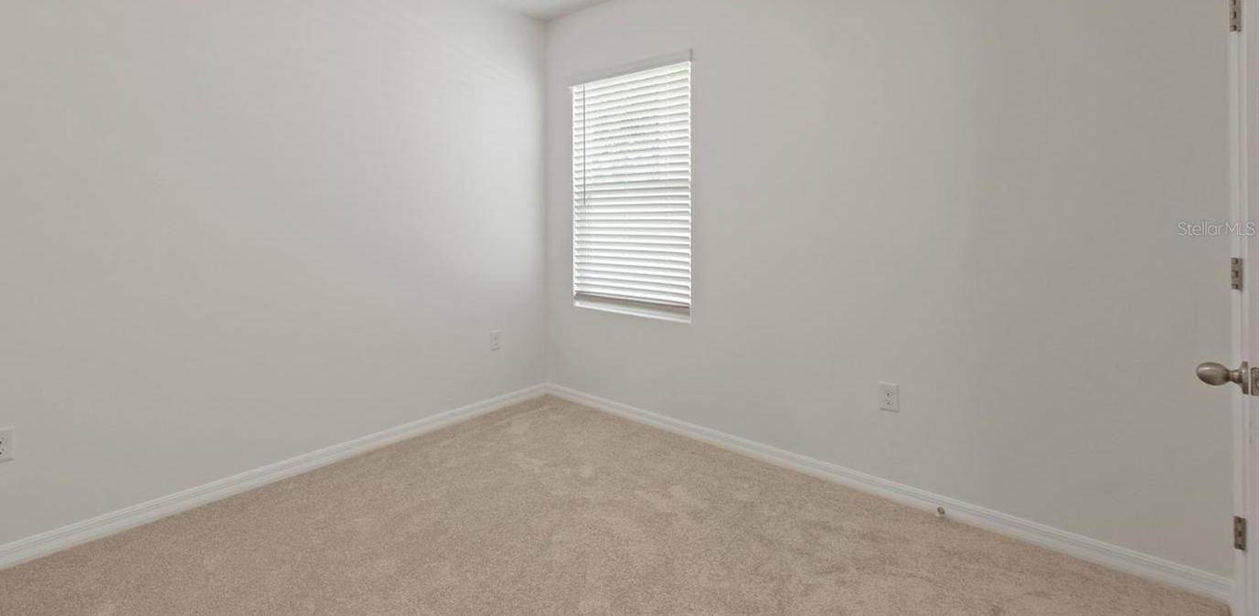 Photo #8