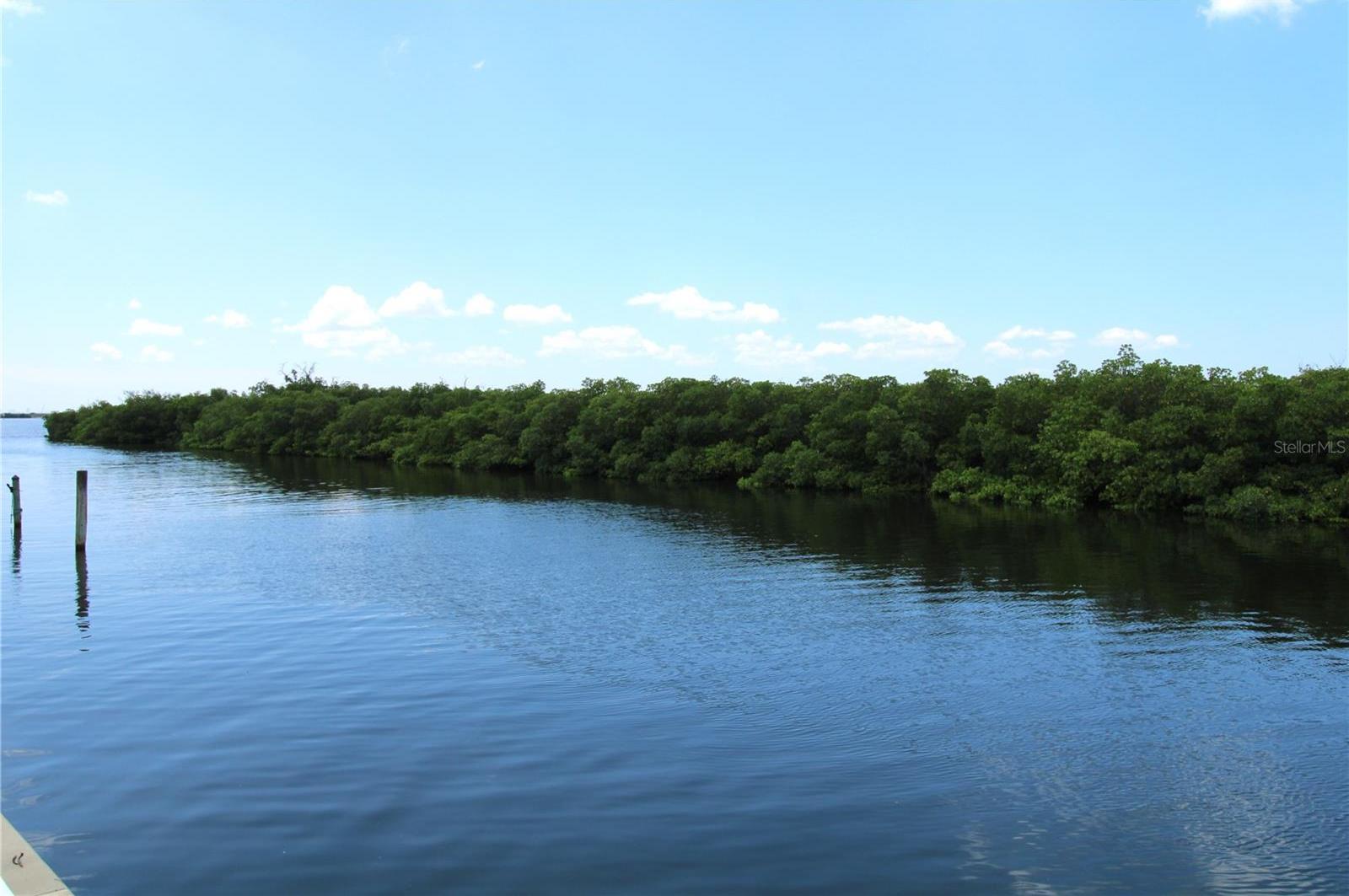 Photo #35