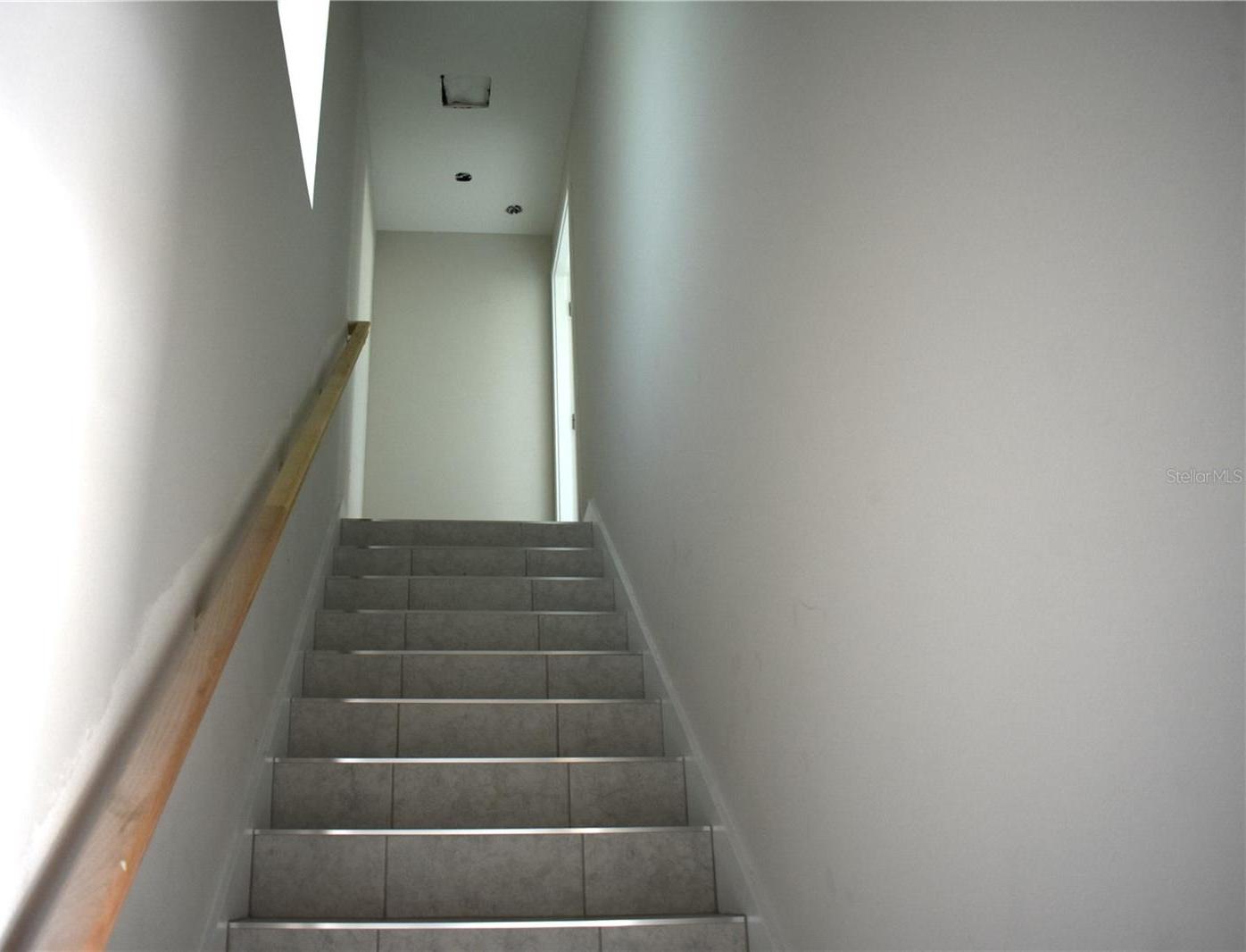 Photo #12
