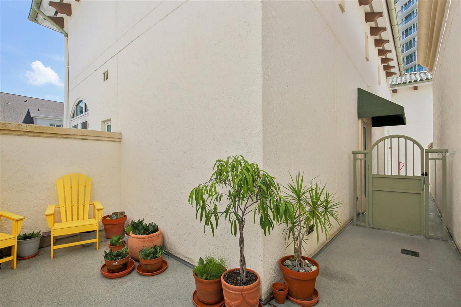 Photo #5