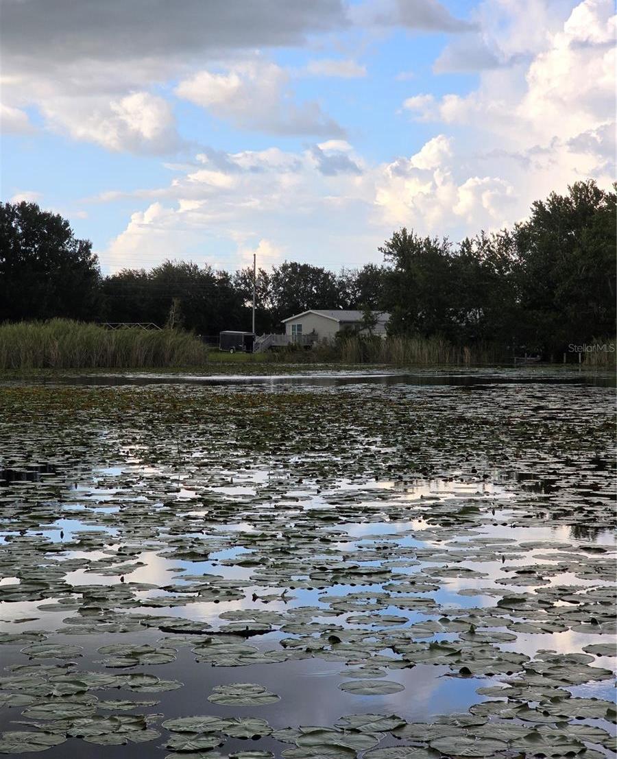 Photo #11