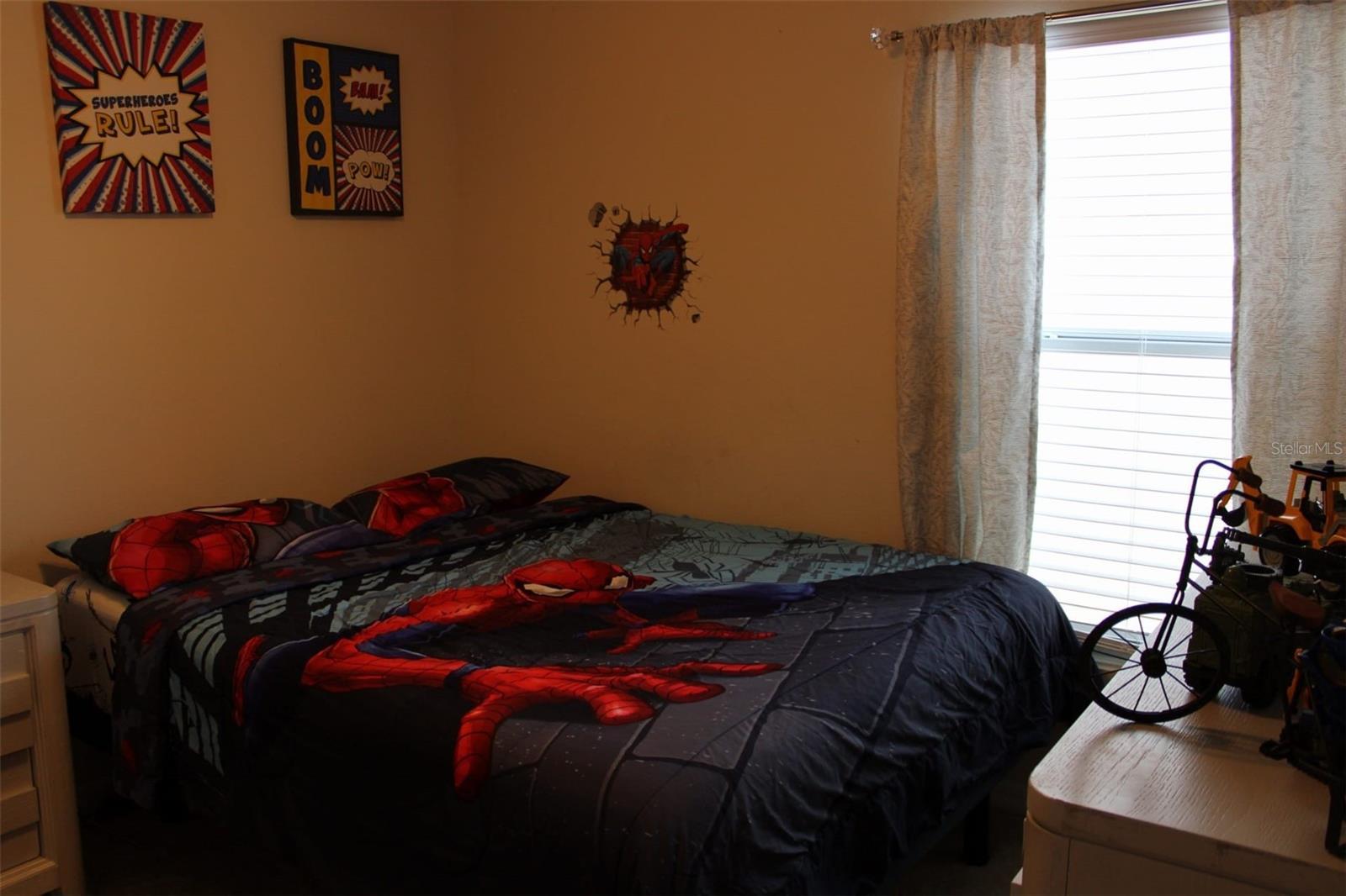 Photo #11