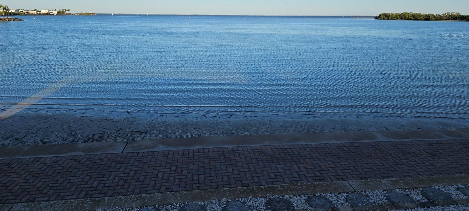 Photo #38