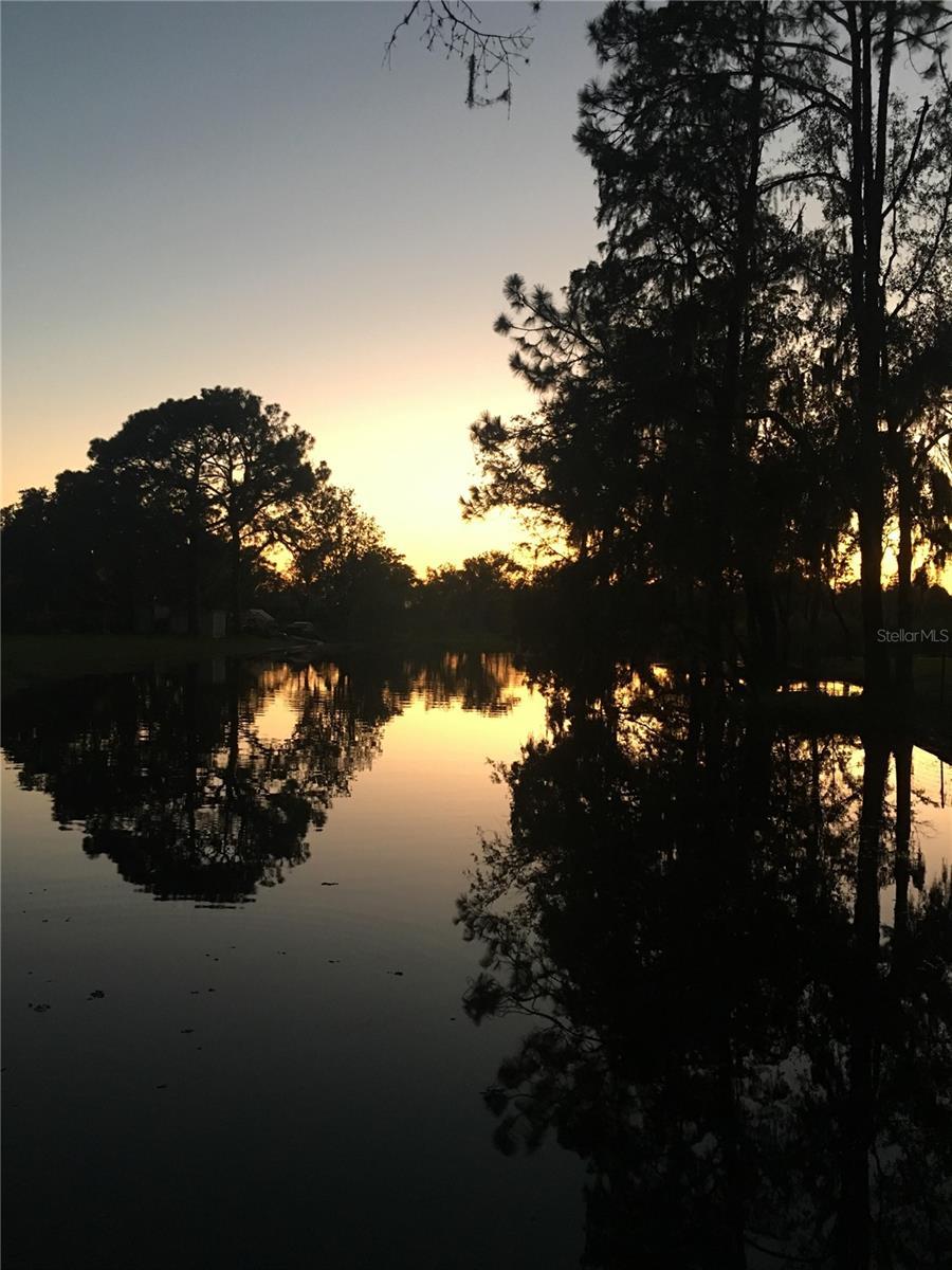 Photo #14