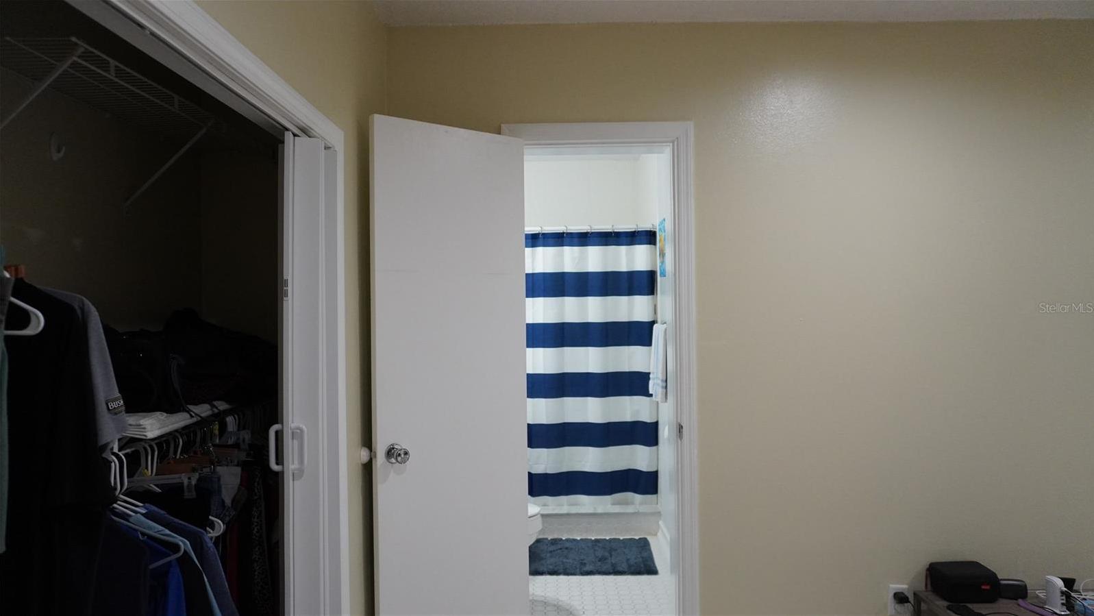 Photo #19