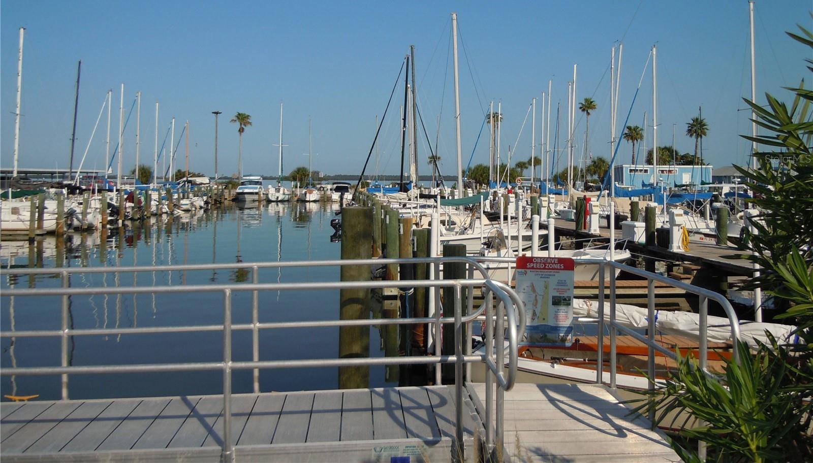 Photo #62