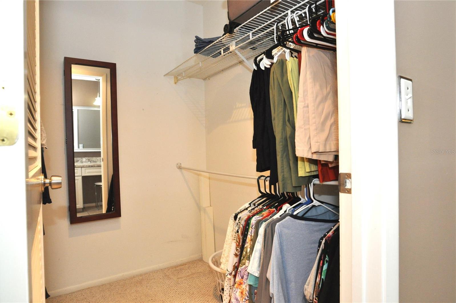 Photo #19