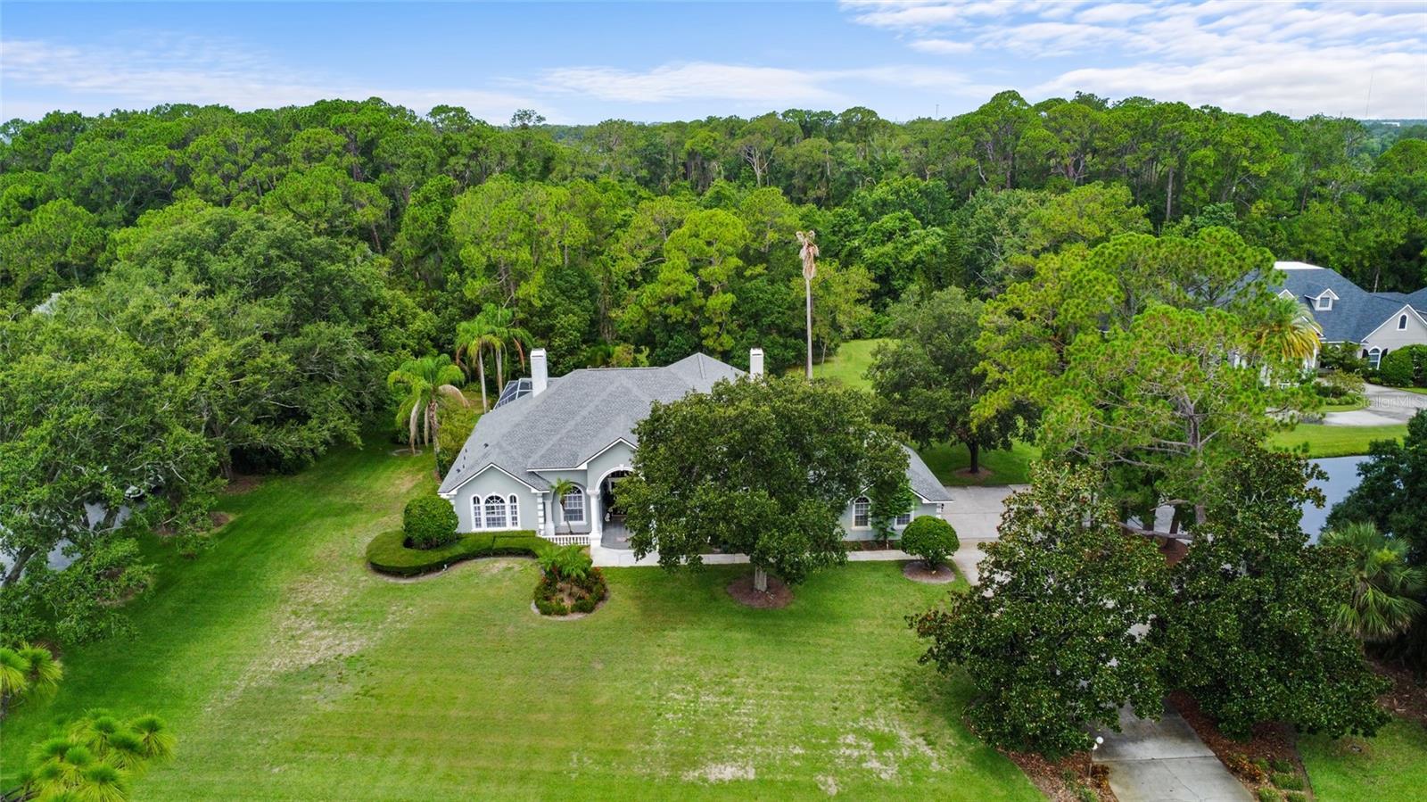 Photo one of 168 Rue Des Chateaux Tarpon Springs FL 34688 | MLS TB8313483